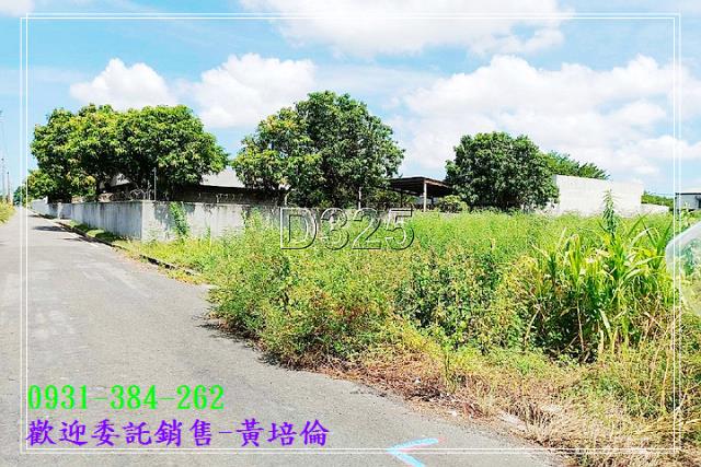黃培倫591
