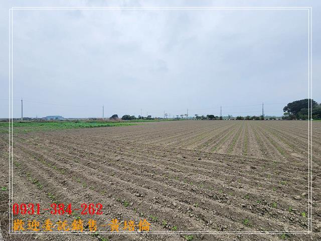 0931384262
