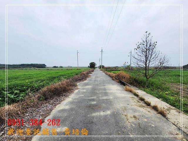 七股雙臨路方正美農地