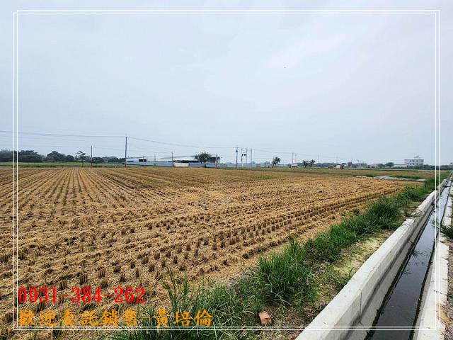 591黃培倫