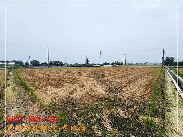 六甲林鳳營段優質農地