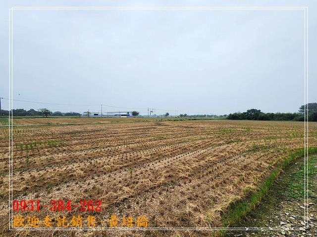 H。蝸牛居黃培倫