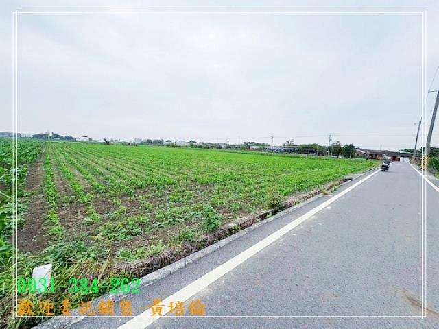 591黃培倫