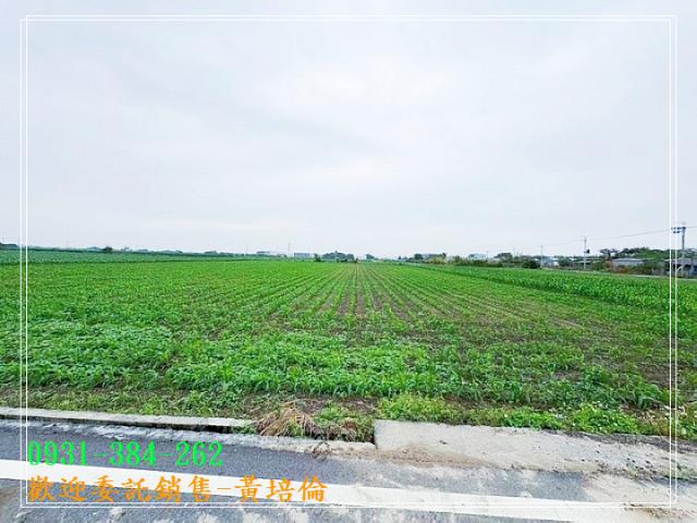 黃培倫591
