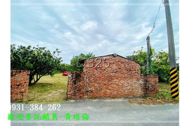 591黃培倫591