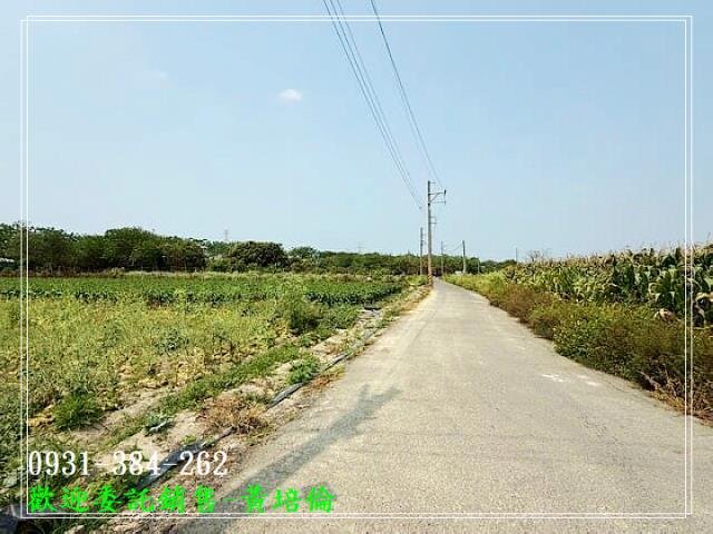 H。蝸牛居591