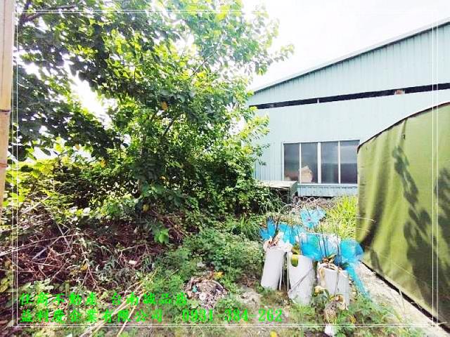 黃培倫的店鋪