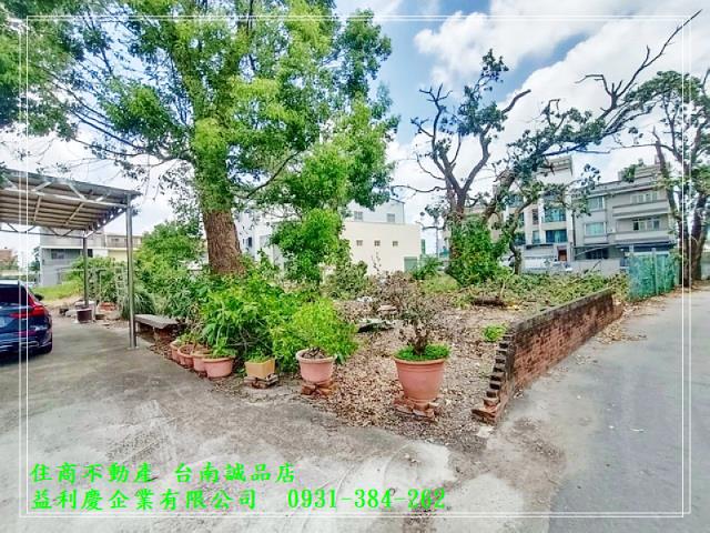 0931384262