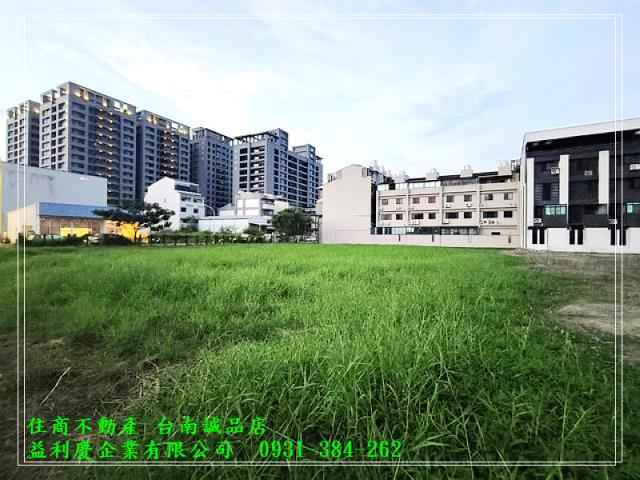 591黃培倫591